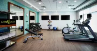 Home2 Suites by Hilton Brantford, on - Fitnessstudio