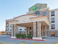 Holiday Inn Express & Suites Dallas South - Desoto