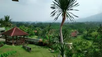 Villa Petra Ungaran
