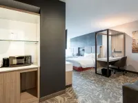 SpringHill Suites Chester Hotels in Bermuda
