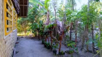 Acuario Beach Inn
