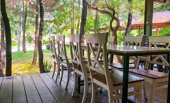 New Green Sentul Resort