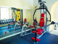 Hotel Concierge Plaza Colima - Gym