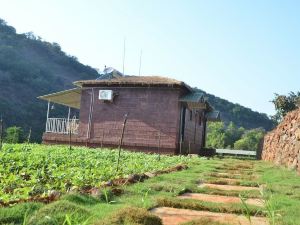 Jungle Valley Agriculture Resort