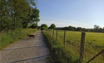 A l'Ancienne Grange - Chambres d'Hotes