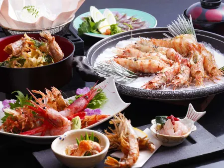 Ashiya-so Отели в г. Синъонсен