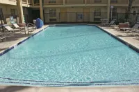La Quinta Inn by Wyndham Clute Lake Jackson - Pools