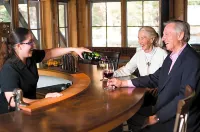 Sleeping Lady Mountain Resort - bar