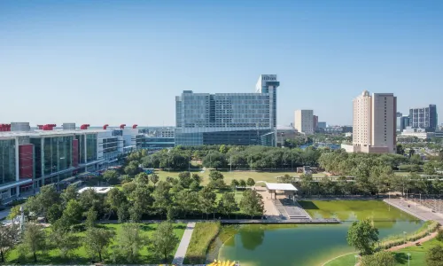 Hilton Americas - Houston