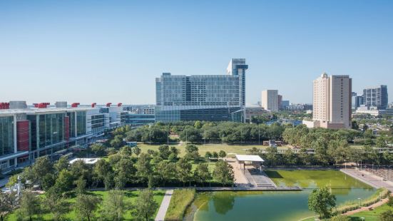 Hilton Americas - Houston