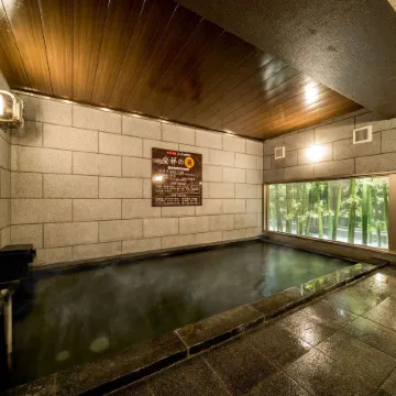 Super Hotel Anjo
