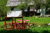 Elderflower Cottage in the Heart of Nature