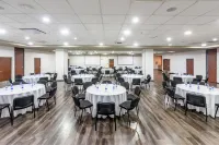 City Express Plus by Marriott Bogota Aeropuerto - que admiten mascotas