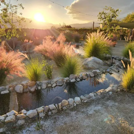 Azure Palm Hot Springs