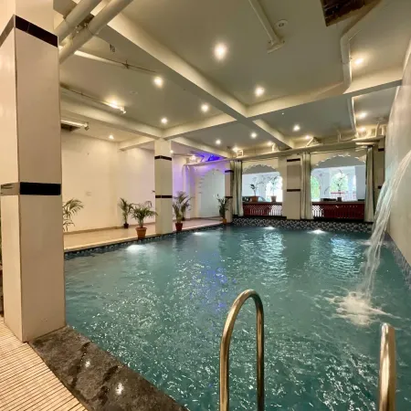 Golden Bird Pushkar