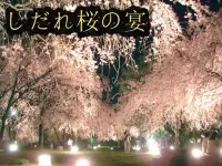 湘南 真鶴 貸別荘 海