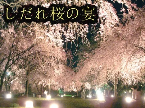 Shonan Manazuru Kashibesso Umi