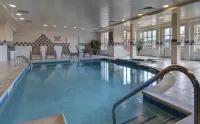 Hilton Garden Inn Detroit Metro Airport - Pools