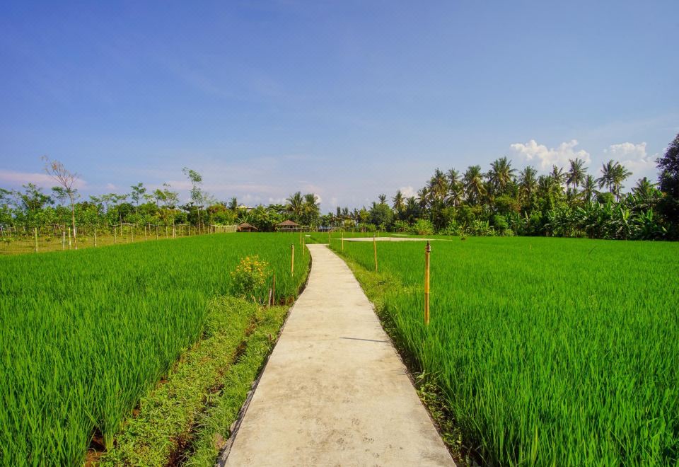 4. 브릿츠 리조트 ..