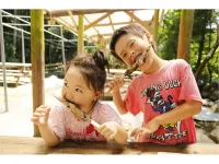 Hinotani Onsen Misugi Resort Hotel Annex