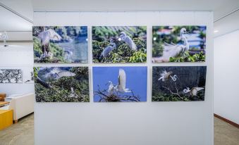 천년바위펜션