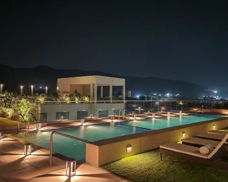 ル メリディアン ナビ ムンバイ テインのホテル