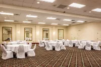 Quality Inn Union City US 51 Hotels in Union City