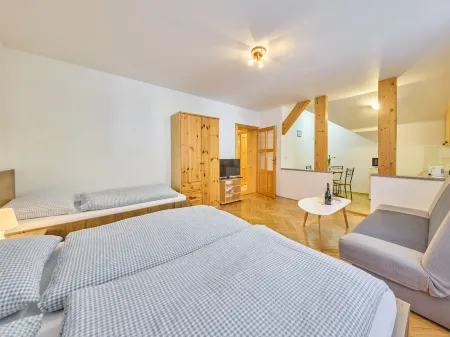 Villa Belvedere Отели в г. Янске-Лазне