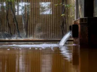 Hotel Sunroute Tokushima - Hot Springs