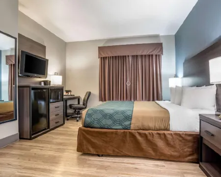 Quality Inn & Suites Hotels in Demopolis