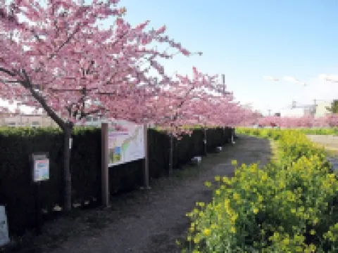 豊橋ステーションホテル 愛知大学周辺のホテル