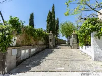Albero di Giada