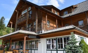 Apartment in Alps Near Ski Slopes