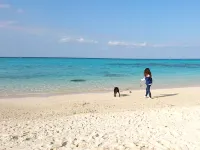 Kominka Kaneyama - Pools