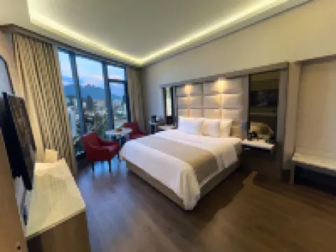Safi Royal Luxury Metropolitan Hotels in San Pedro Garza Garcia