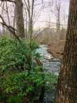 Wooded cabin in the Laurel Highlands with beautiful yard and native trout stream