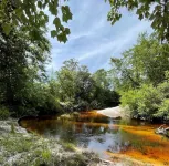 Luxury Cabin At Blackwater Getaway, Short Walk Downhill To The River!