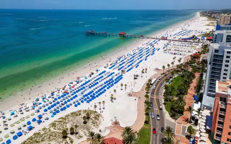 Palm Harbor Getaway • Salt Pool • Xbox • Near Beaches & Blue Jays