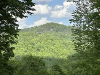 The Den Shipping Container Cabin-HotTub!-High Speed WiFi!-Great View & Location!