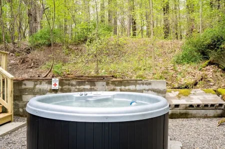 Mossy Moody Cabin in High Falls, NY