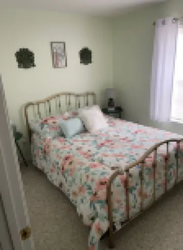 The Yellow Dragonfly