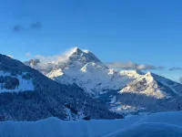 Chalet les Pars Hotels in Gryon