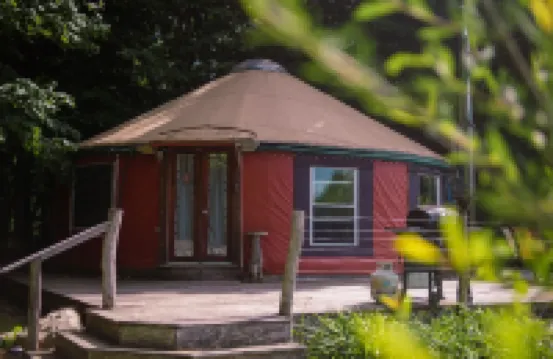 Secluded, Clean Yurt, Retreat on a Forest Farm