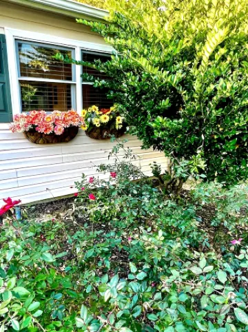 We Love Short & Long Term