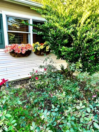 We Love Short & Long Term