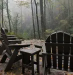 Cozy Creekside Cottage - RELAX by the Creek