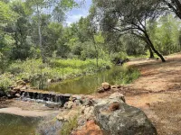 Duck Pond Cabin-Private Cabin on 400 Acre Ranch