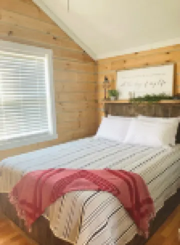 Tiny Cabin Along the River