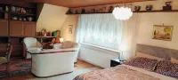 Beautiful Apartment with garden, patio, balcony, and free parking in Röslau