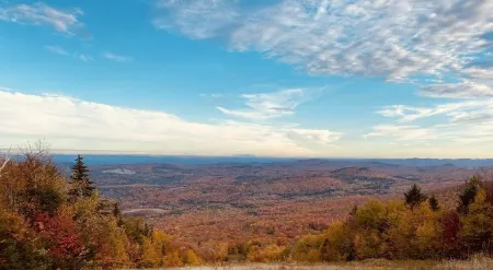 Renovated Luxury 4 Bedroom 3.5 Bath Okemo Trailside